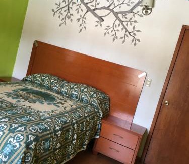 Zacatecas Centro Hotel | Hotel Terraza Castro