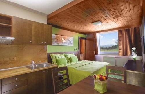 Dolni Dvur Hotel | Hotel Tetřeví Boudy