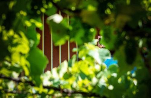 Varna Hotel | Hotel Villa Mayr Rooms & Suites