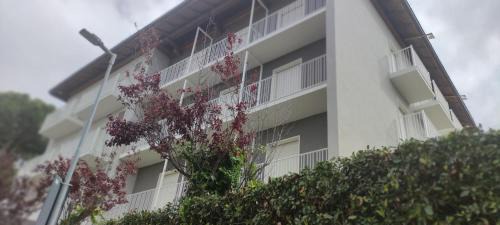 Riccione Hotel | Hotel Villa Platani