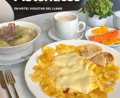 Yopal Hotel | Hotel Violetas Del LLano