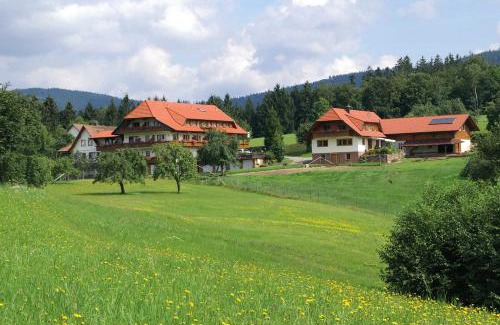 Bad Peterstal-Griesbach Hotel | Hotel zum Breitenberg