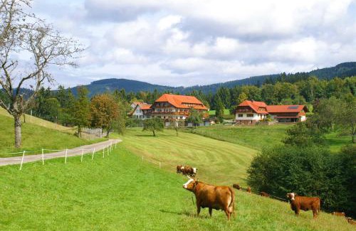 Bad Peterstal-Griesbach Hotel | Hotel zum Breitenberg