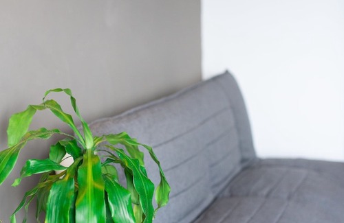 Luis Donaldo Colosio Hotel | Hotel52