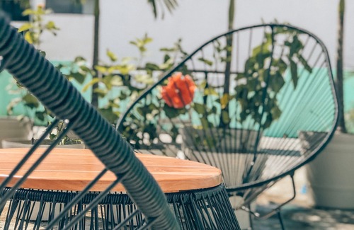 Luis Donaldo Colosio Apartment | HOTELITO 54