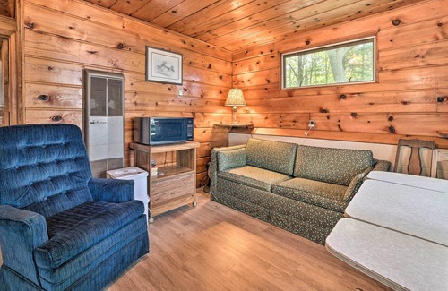 Houghton Lake Cabin | Houghton Lake Cabin w/ Direct Water Access!
