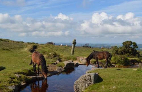 Newton Abbot House | Hound Tor Barn Dartmoor