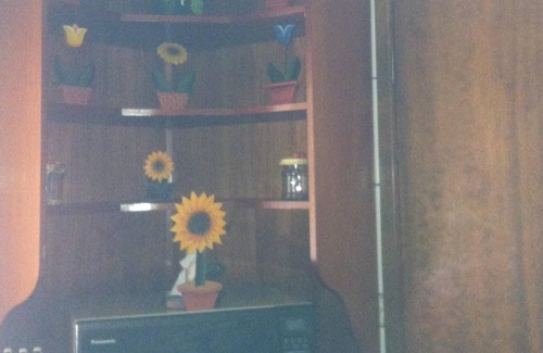 Conservatoria House | House in Conservatória