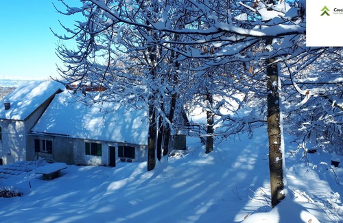 Urbe Apartment | House in the Forest - Sunshine (CITRA code. 009063-LT-0015)