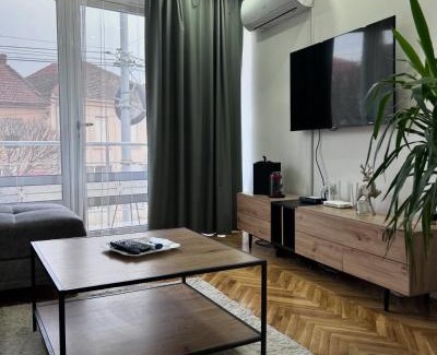 Pirot Apartment | House Inn