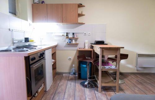 Vracar Apartment | House of Vracar