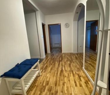Zemun House | House Reko