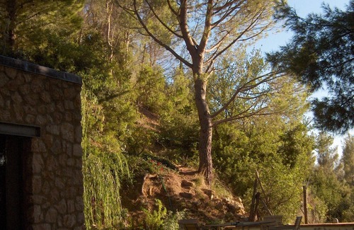 Monte Argentario House | House/Villa - Monte argentario