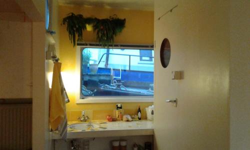 Oostelijke Eilanden en Kadijken Bed & Breakfast | Houseboat Dokstroom