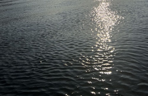 Satsuma Boat Rental | Houseboat on the St. John’s River. A true home away from home.