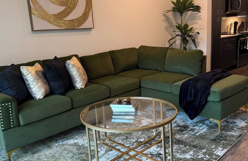 Texas Medical Center Apartment | Houston Gem: Walk to Med Center & NRG