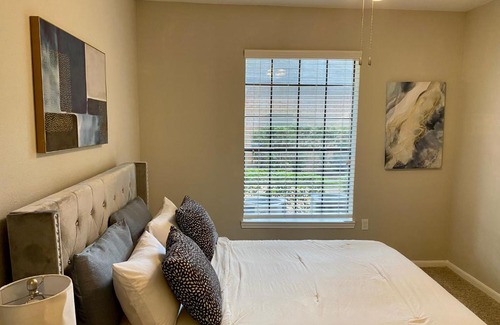 Texas Medical Center Apartment | Houston NRG Stadium Apartment with Pool and Free Parking