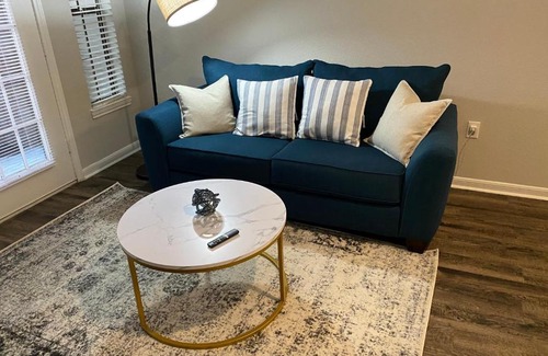 Texas Medical Center Apartment | Houston NRG Stadium Apartment with Pool and Free Parking