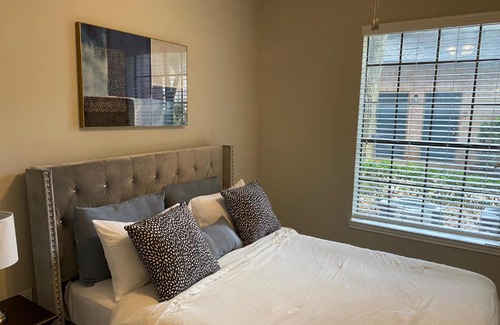 Texas Medical Center Apartment | Houston NRG Stadium Apartment with Pool and Free Parking