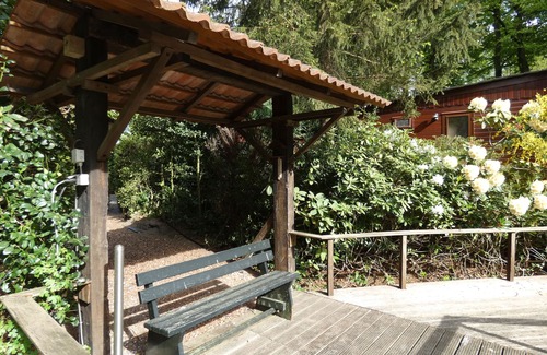 Marum Ski Chalet | Houten chalet wat direct aan het bos gelegen is
