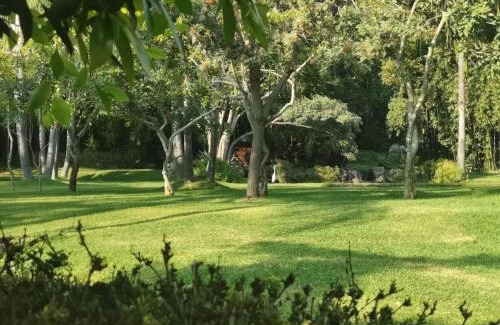 Jiutepec Hotel | Huayacán Cuernavaca Curamoria Collection