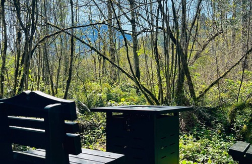 Gold Bar Cabin | Huckleberry Hideaway Luxury Off-Grid Glamping near Gold Bar, WA