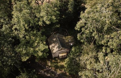 Hay-on-Wye House | Humboldt