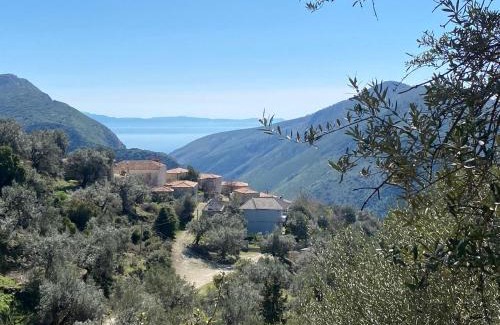 Himare House | Hummingbird