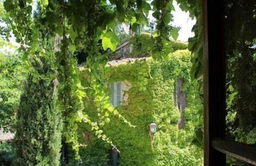 Dicomano Apartment | I Cipressi - Azienda Agricola Frascole