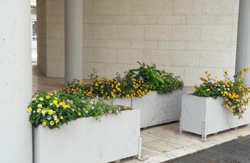 Monteroni di Lecce House | I Fiori Di Lucrezia
