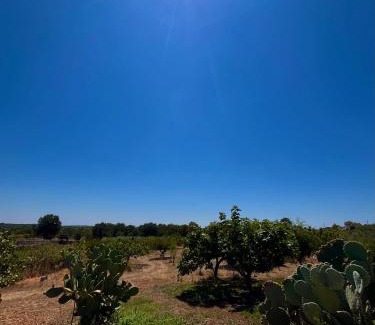 Martina Franca House | I Trulli della NaturaBio