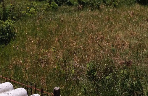 Vila Esperanca Ski Chalet | Ibiraquera Beach Ribanceira Beach