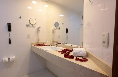 Ribeirao Preto Hotel | ibis Styles Ribeirao Preto Maurilio Biagi