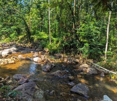 Ponmundi Villa | IDAM Homestay Ponmudi
