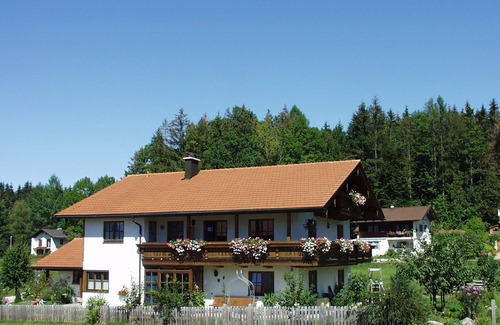 Ed Apartment | Ideal for 2 people - studio with kitchenette and balcony