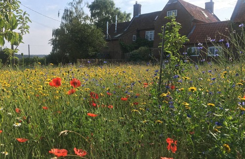 Butley Cottage | Ideal for family’s, friends or couples. Well equipped, spacious and comfortable.