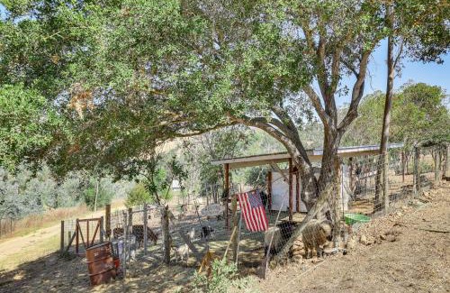 Fallbrook Apartment | Idyllic Fallbrook Guest House for Families!
