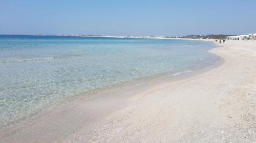 Salice Salentino Bed & Breakfast | Il Geco
