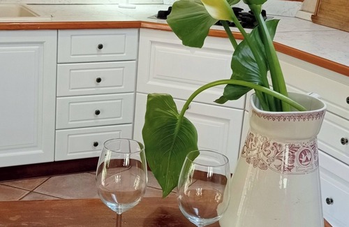 Riva del Garda Apartment | Il Giardino Segreto - Holiday home where you can spend pleasant moments.