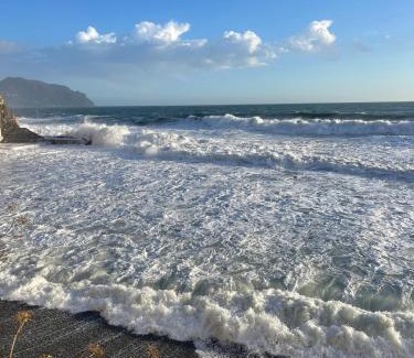 Bogliasco Apartment | Il nido sul mare blu