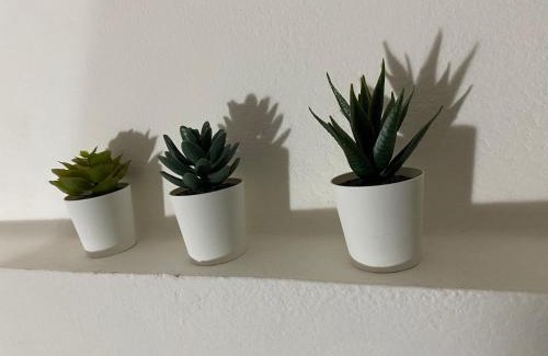 Imola Apartment | Il Profumo dei Tigli