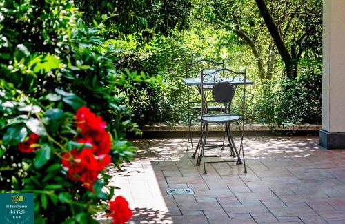 Formigine Bed & Breakfast | Il Profumo dei Tigli R&B, elegante casa nuova a Formigine