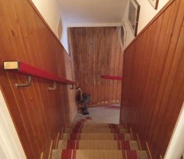 Pioraco Apartment | IL SENTIERO
