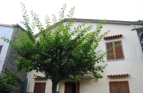 Tirrenia Apartment | Il Susino