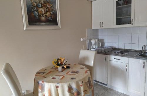 Zalakaros Apartment | Ildiko Appertements
