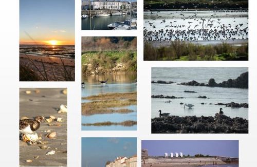 Saint-Martin-de-Re House | ILE DE RE, LA DANAE, VELOS, WIFI, POSSIBILITE CUISINE, LINGE, PARKING gratuit