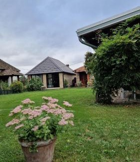 Central Serbia House | Imanje sa bazenom