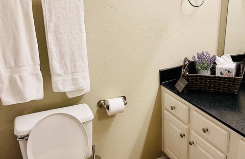 Little Rock Apartment | Immaculate 1 Bedroom Apt with Riverfront View