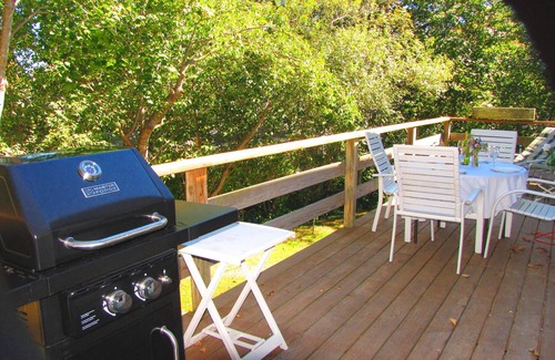 Vineyard Haven House | IN-TOWN-WALK TO EVERYTHING! Adorable & Affordable! Cozy Cape Style Home!