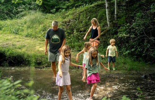Bryson City House | Incredible Mountain Cabin with Private Creek and Hot Tub Allowing Outstanding Views in Bryson City
